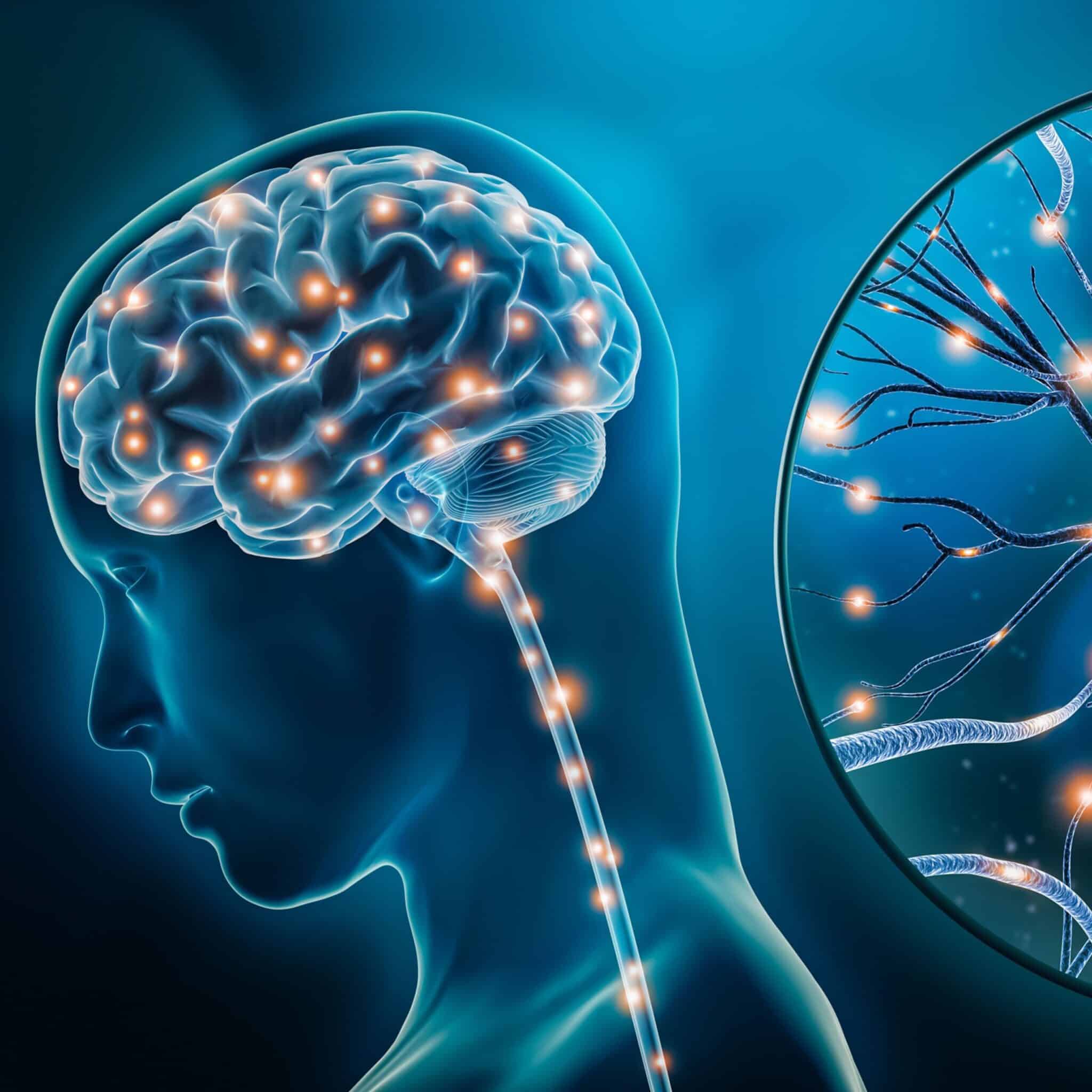 Digital illustration of a human brain with glowing neural connections, alongside a close-up of a neuron showing electrical activity.