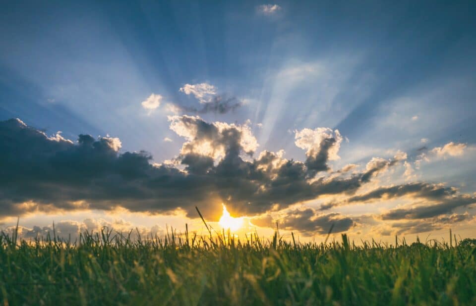 Sunset over a grassy field with rays of sunlight streaming through scattered clouds in the sky.
