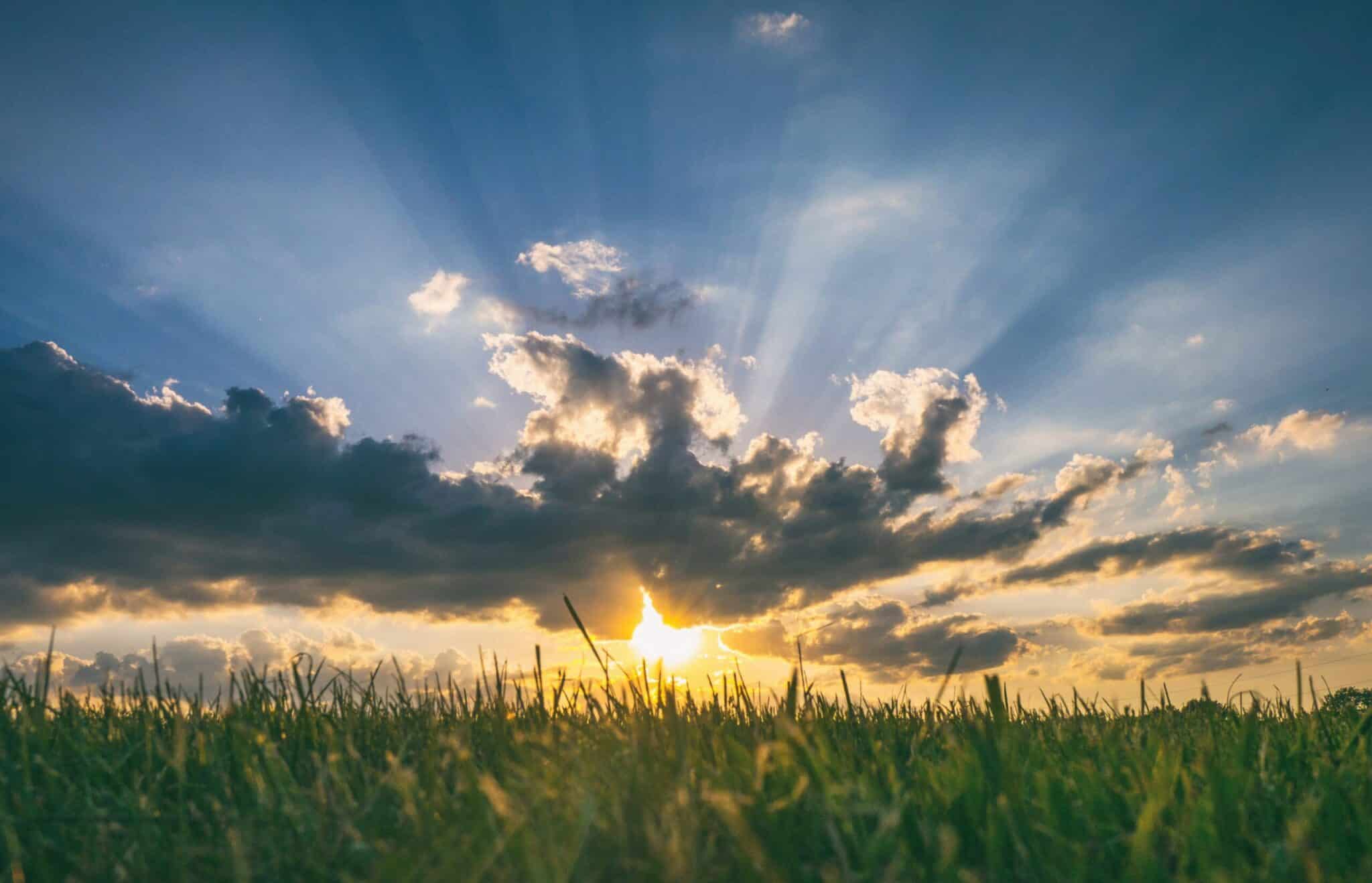 Sunset over a grassy field with rays of sunlight streaming through scattered clouds in the sky.