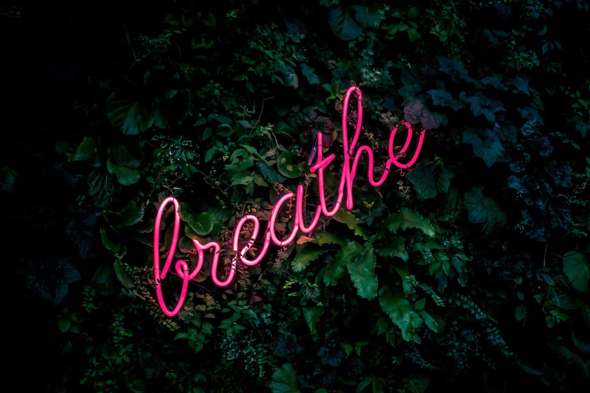 Breathe in pink neon light with dark leaves in the background
