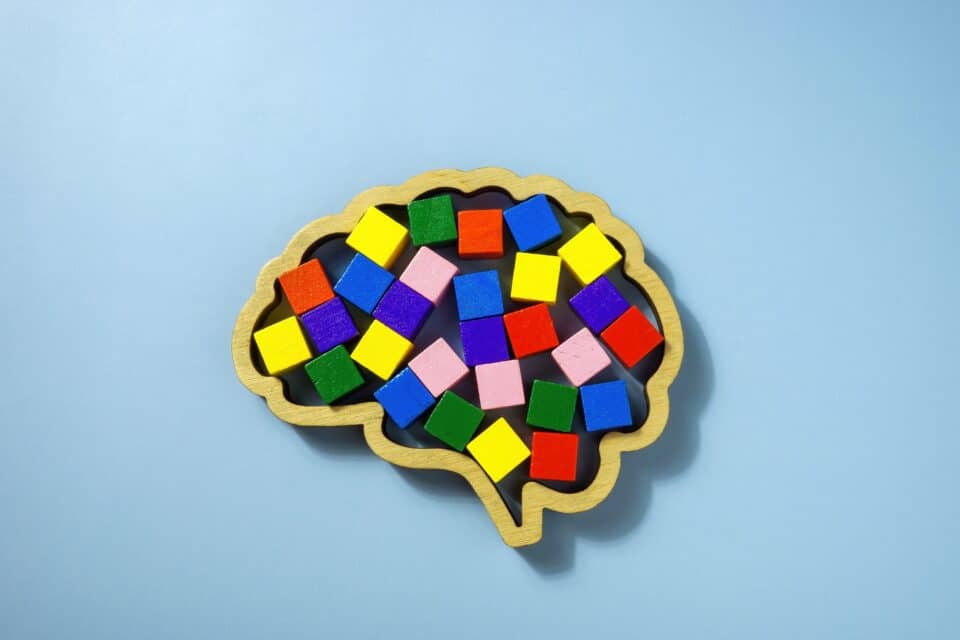 A wooden outline of a human brain shape filled with colorful wooden blocks, placed on a light blue background.